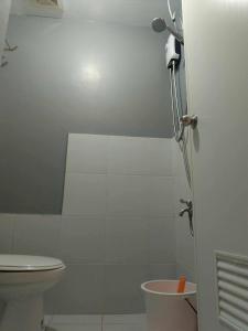 Bertos High Speed Wifi