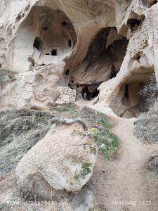 Cappadocia private tour 2 days and one night hotel booking breakfast and dinner included