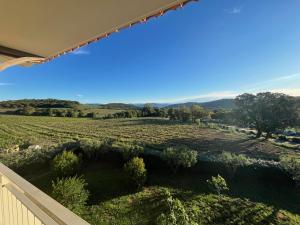 Appartements T3 Vignes & Terrasse 25 m2 au calme - Vue verdoyante - A 7 min de la plage - Parking Gratuit - La Croix-Valmer : photos des chambres