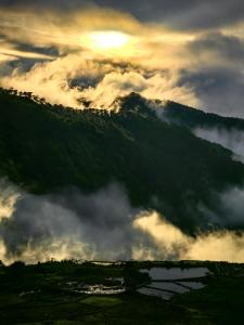 Catlins Cabin and Cafe