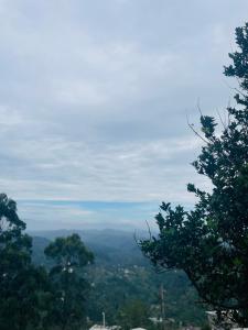 Sanas homestay haputhale