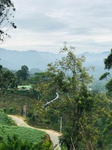 Sanas homestay haputhale