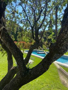 Maisons de vacances La Roucoulade Gite Slow Chic : photos des chambres