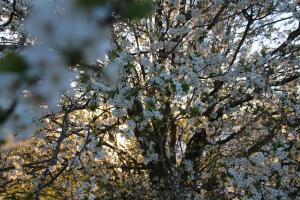 Villa Hügel Maisonette Wohnung