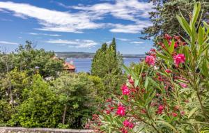 Beautiful Villa Ana with sea view in Crikvenica