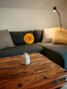 Large apartment with terrace