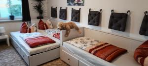 Ferienwohnung Gentsch in Schmannewitz