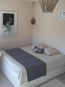 Les Bromélias Ile du Levant