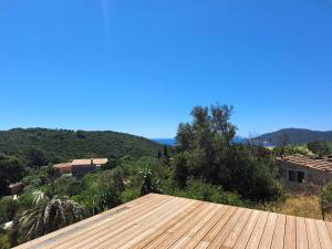 Les Bromélias Ile du Levant