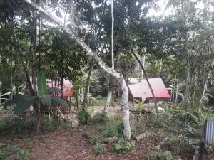 Cabañas guachayasai - Macedonia