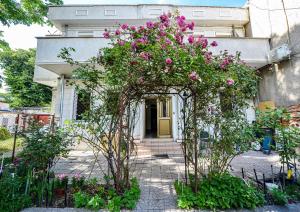 Standard Studio room in Bucharest City Center Villa