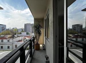 Coahuila, Roma Norte