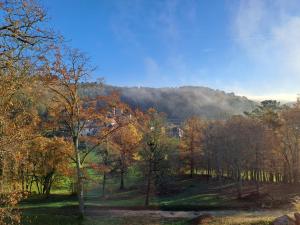 Domaine des Étoiles