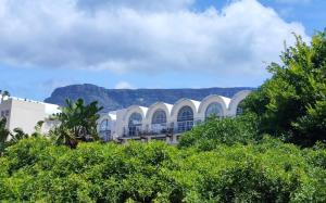 Purple Pearl at Bokaap