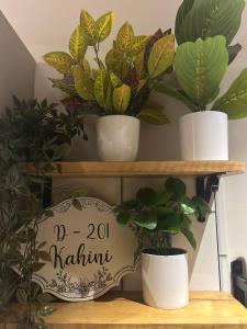 Kahini - a boutique stay near Baga Anjuna Beach