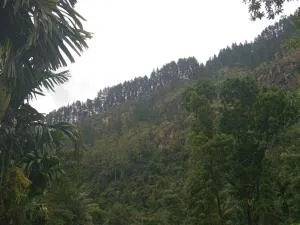 Rock View Holiday Bungalow - Madulkele