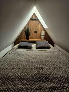 Wilcze Echo Kościelisko