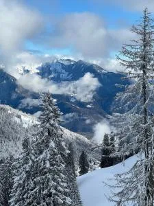terrasse plus parking pour 8 personnes au ski à Torgon - Torgon
