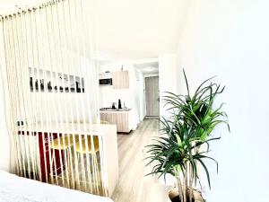 Beautiful Studio Apartment in Chapinero