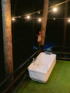 Simones Bluehouse in the Mountain