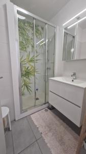 Le Poseidon Grande terrasse vue port a 100m plage