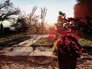 Stone cottage 2BR in Mukteshwar by homeyhuts