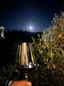 House 7 minutes from itaipava - Barra Mansa