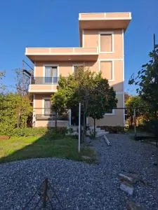 Batumigreen - Tofaloglebi