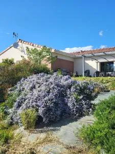 Villa au coeur du village de Castanet - Cestayrols