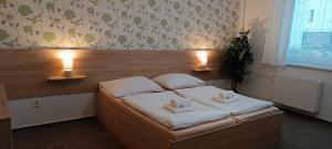 Double Room room in Penzion Starr