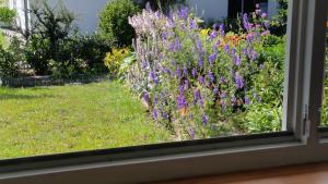 Apartment Blumengruß