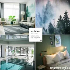 Schönhier - Design Apartment mit Pool, Sauna - St. Blasien