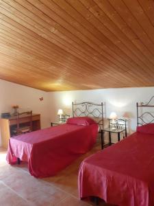 Cozy house with garden in Rio nellElba