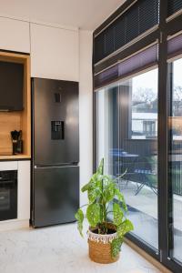 Luxury Landing 11 - centrally located accomodation with private parking Targu Mures