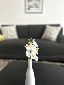 Ruhige Unterkunft mit Netflix Küche & Waschmaschine