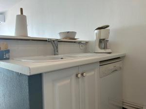 Appart 2 pièces - cabine 6 couchages BANYULS SUR MER BN130-C113