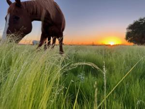 The Stables Kakamas Self Catering