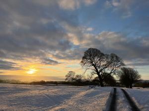 Halton Red House Farm