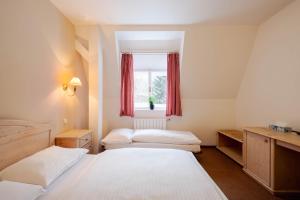 Double Room with Extra Bed room in Hotel Hořec