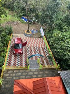 Vagamon green cardomon