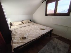 Drašković lux Goč