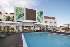 Hodelpa Gran Almirante