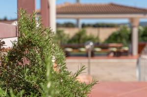 Villa Sardegna Relax - Private Pool Alghero img27