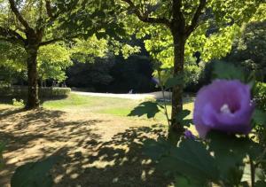 Campings Camping 3 etoiles - ccaiddd : photos des chambres