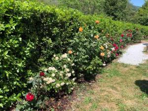 Gigallino in campagna, a due passi da Firenze