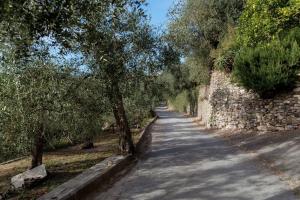 Appartamento Alba Dachi Farm