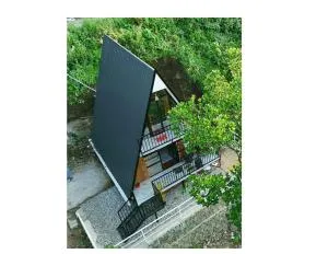 Vagamon forest canopy - Vagamon