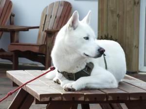 Poachers Pocket Seaview