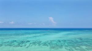 Mikoko Villa - Zanzibar