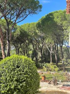 Villas La VILLA : photos des chambres